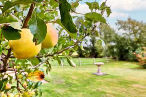 Photo 31- click for photo gallery